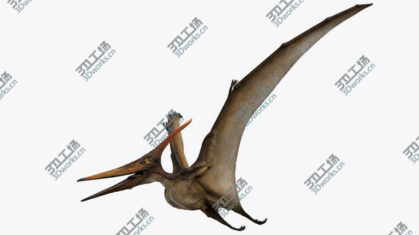 images/goods_img/20210312/3D Pteranodon Longiceps Rigged/1.jpg